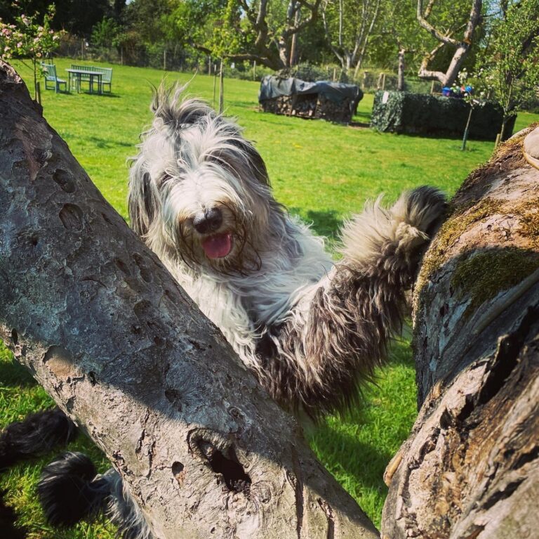 1292 35b6c224afea36d4ea7918a477989b02 1 768x767