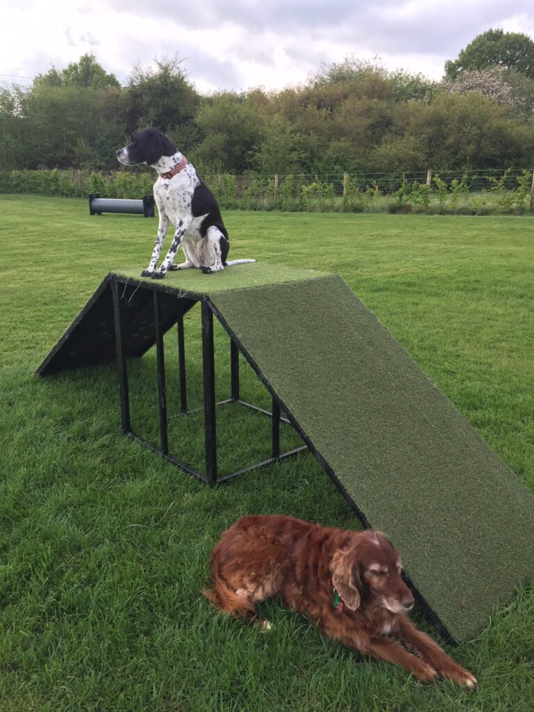 1292 416660a953132b11c0cc4c4772ca9d91 1 768x1024