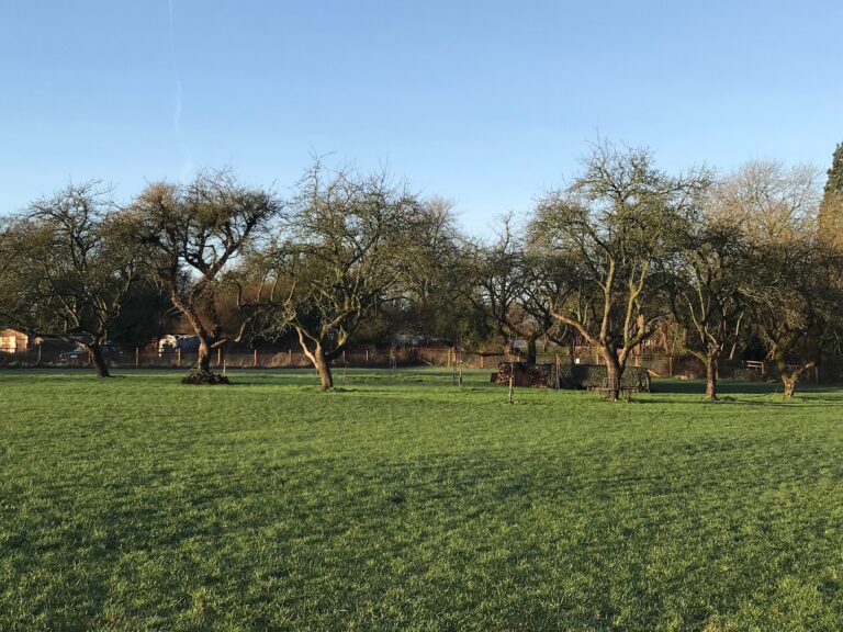 1292 4625d070cbe6f7bf8b72cd369a05f3e6 1 768x576