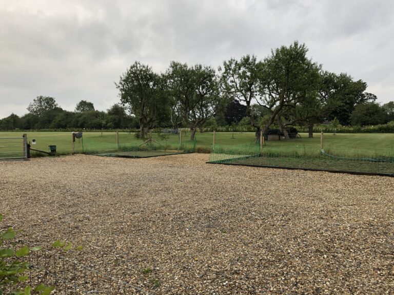 1292 57806a3698c9119e3c216faf72a87daf 1 768x576