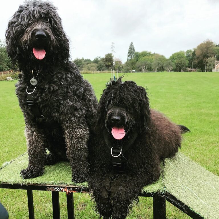 1292 735a8272b677debe606f1b6f1ce13728 1 768x768