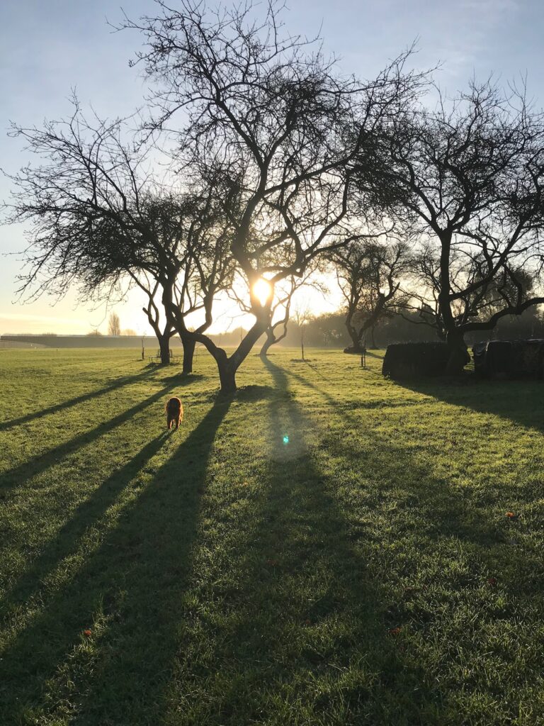 1292 b294f8f925e322ea877d623c154443d0 1 768x1024