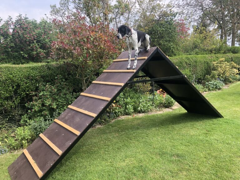 1292 d6e1a6ff599bf1efa3533f47357687d1 1 768x576