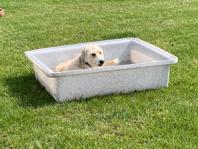 1292 db896c6a8969edf01c489206f30512b6 1