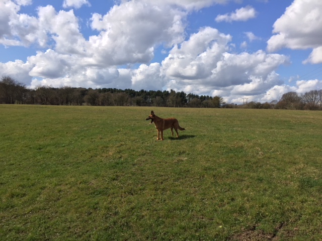 1294 2c92d60bb4607b9972d2e171c4faa19a 1