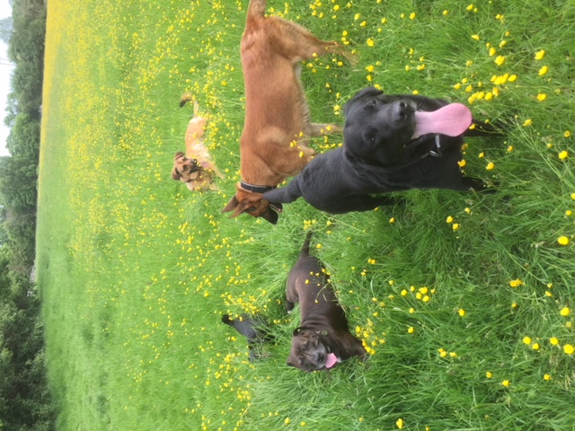 1294 cb778e1214380101a5b04d7077baaa7a 1