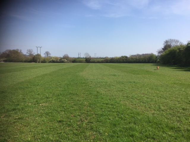 1294 d3a0c3a100e87c6962d05dd2299b5815 1