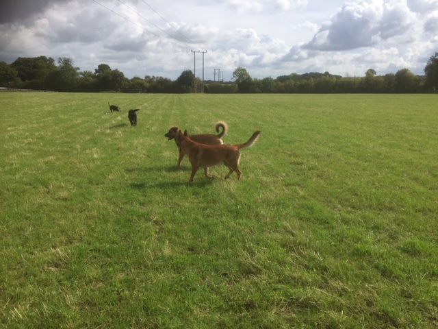 1294 e9880c41e8d30ff966ce119bc16b4d32 1