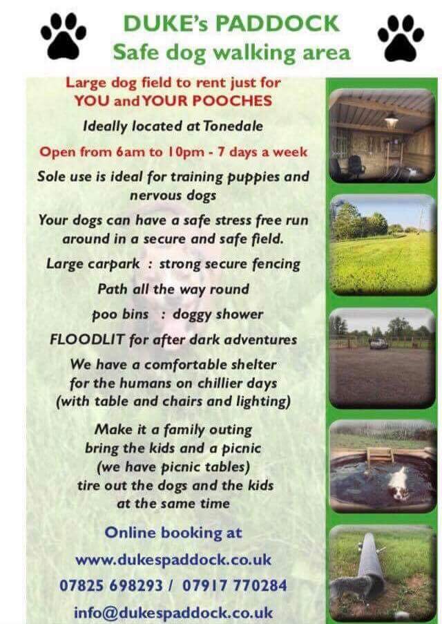 1296 2f2866d781a879434c0fe77b167b73b3 1