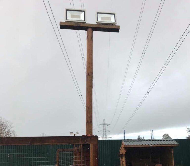 1296 8921c6df1f8fa98022271d604b5bb8b9 1 768x674