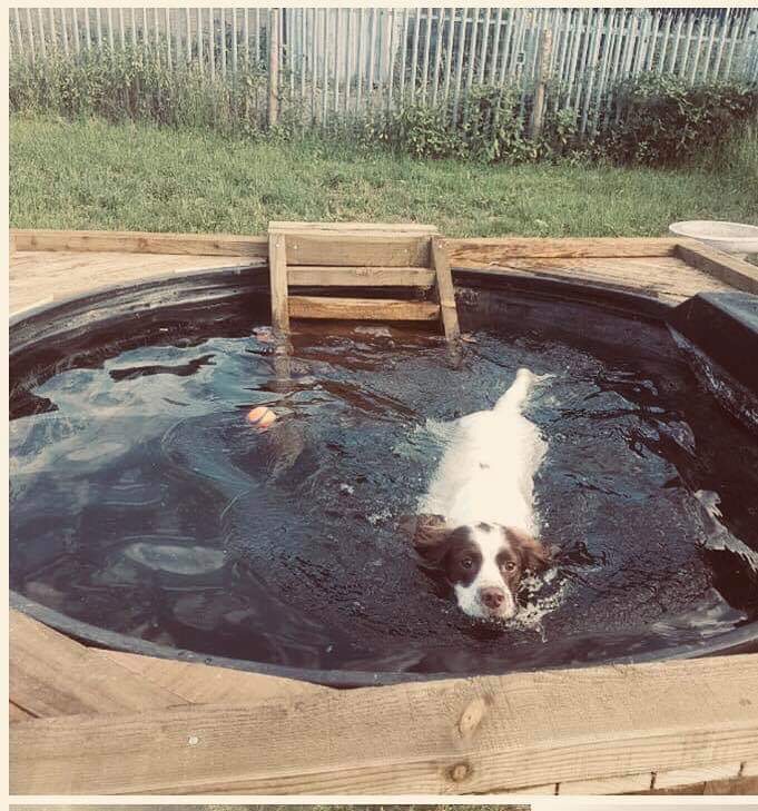 1296 a08b1811659ecf9295e258ac3dcd4e0b 1