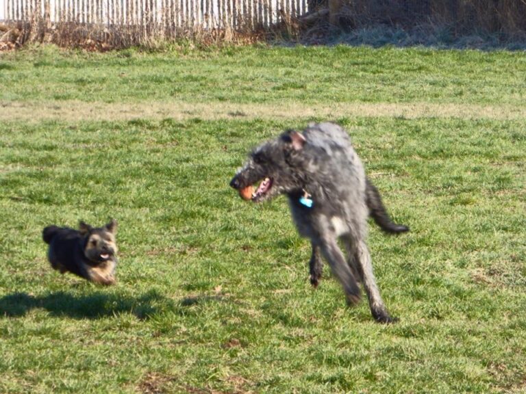 1300 8f7b3d1cb5aaa4220766bf986fc93bb6 1 768x576