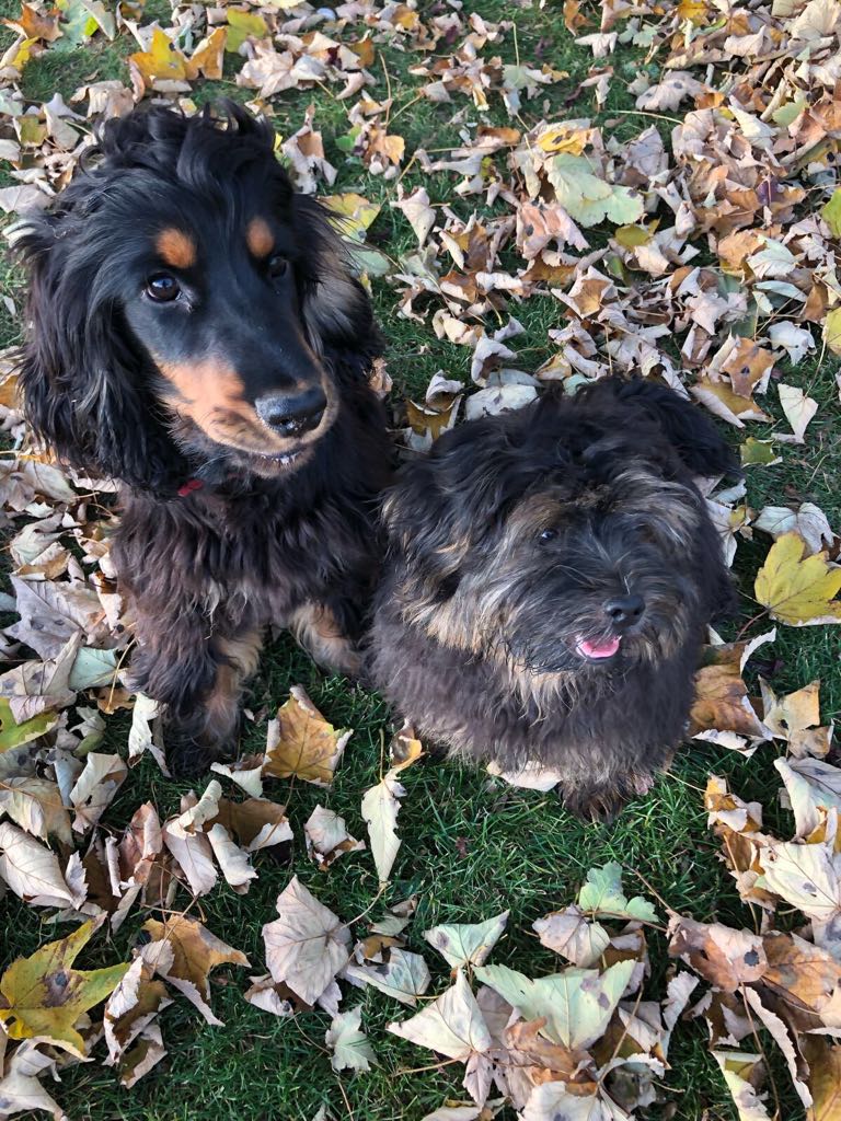 1300 e791626823a2b11153f5606b322fee46 1