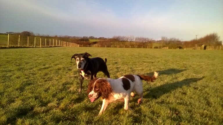 1302 acc9a74e805ecc52d62852cf626ccd6d 1 768x431