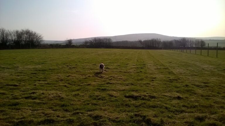 1302 f6fe66d1a9a68dd4a24a5c292c977681 1 768x431