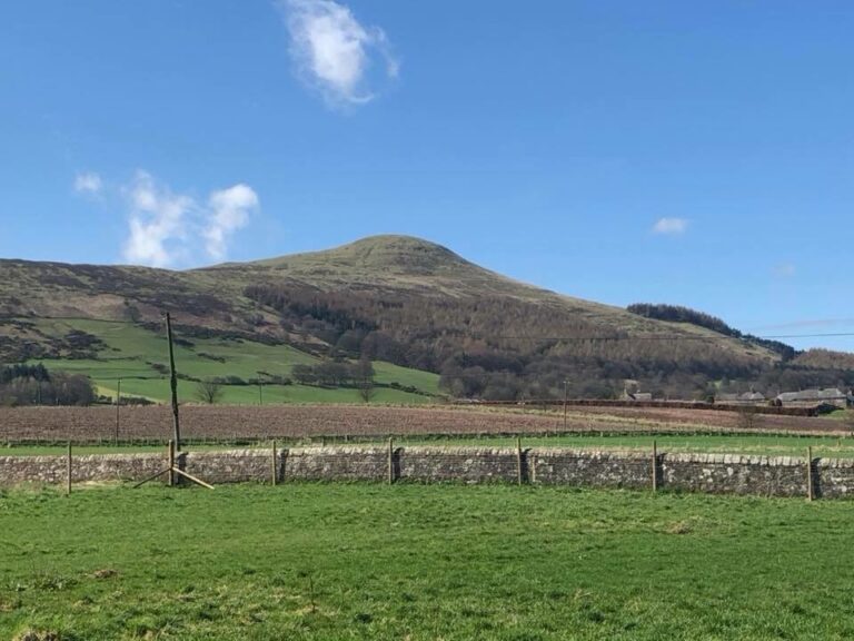 1304 02049bdb5236da6cfb2ca329522096ec 1 768x576