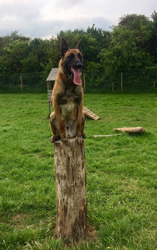 1306 5bca6b2f25917b5dffce30bee0f88650 1