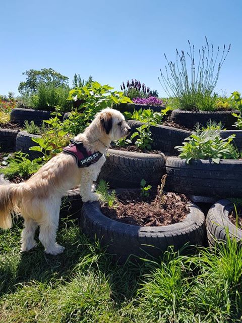 1306 608514768a43a9a404d9951409e66d24 1