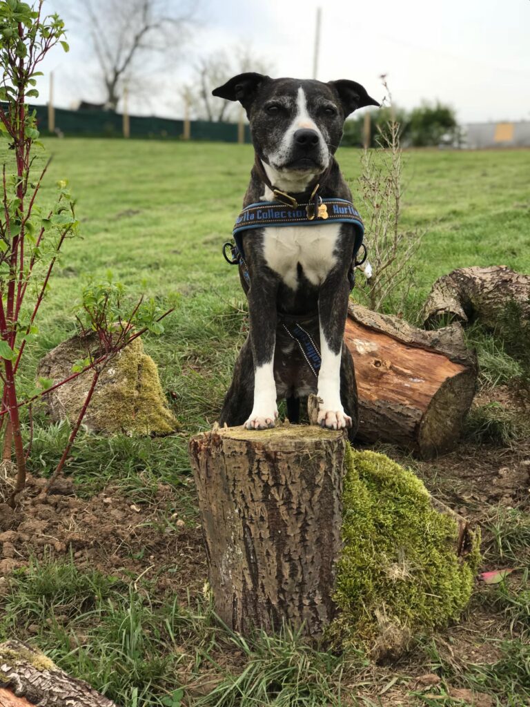 1306 7bb0606c5b535f113fe1c629ee93c020 1 768x1024