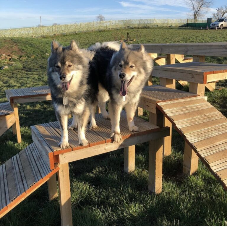 1306 82b3873ed385bf9f17d252cb2c154336 1 768x768