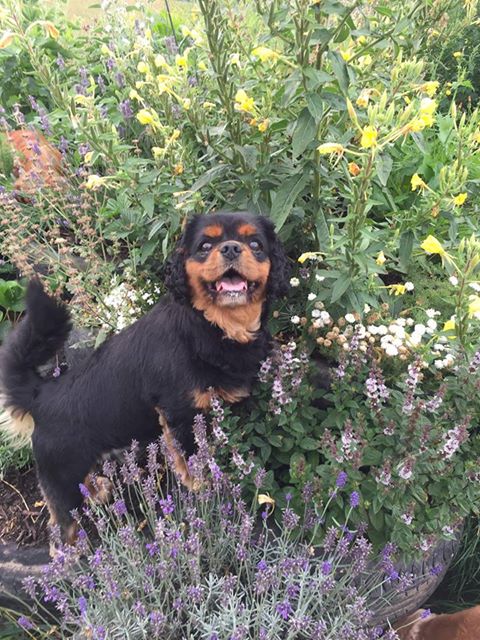 1306 9e730de2b8ab8d145e43762d8c758a3e 1