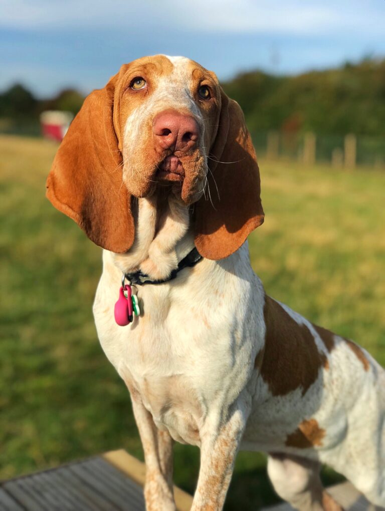 1306 aa8e85b1c8413c4d5519bd769460fd64 1 768x1019