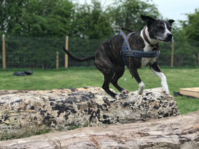 1306 bc8913066e8966797ef93f7bcb72b442 1 768x576