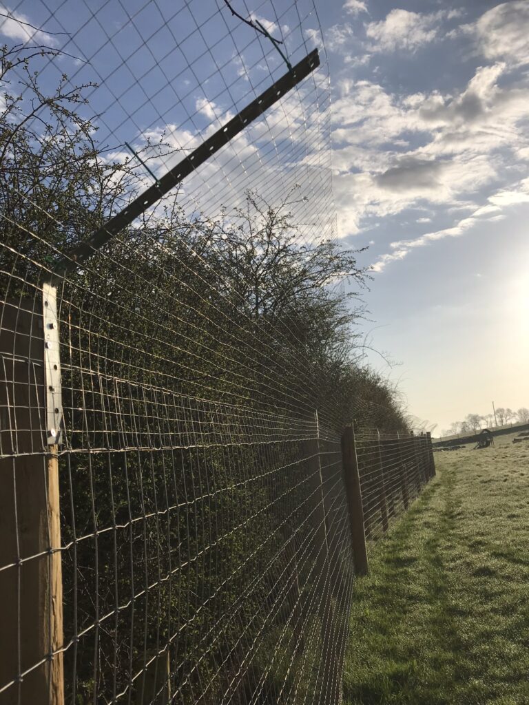 1306 f60684326b4526e2c4cb36bdb481066f 1 768x1024