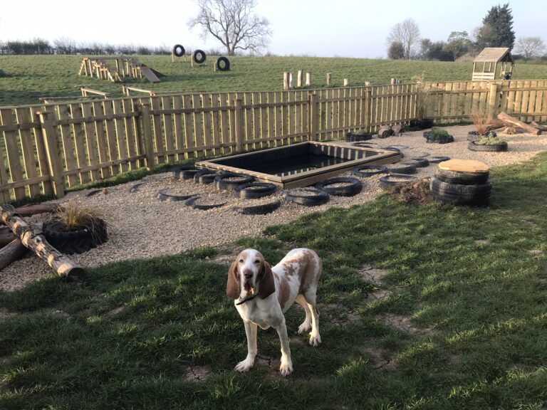 1306 f60756ebbc842459ab8df7a8e7591d69 1 768x576