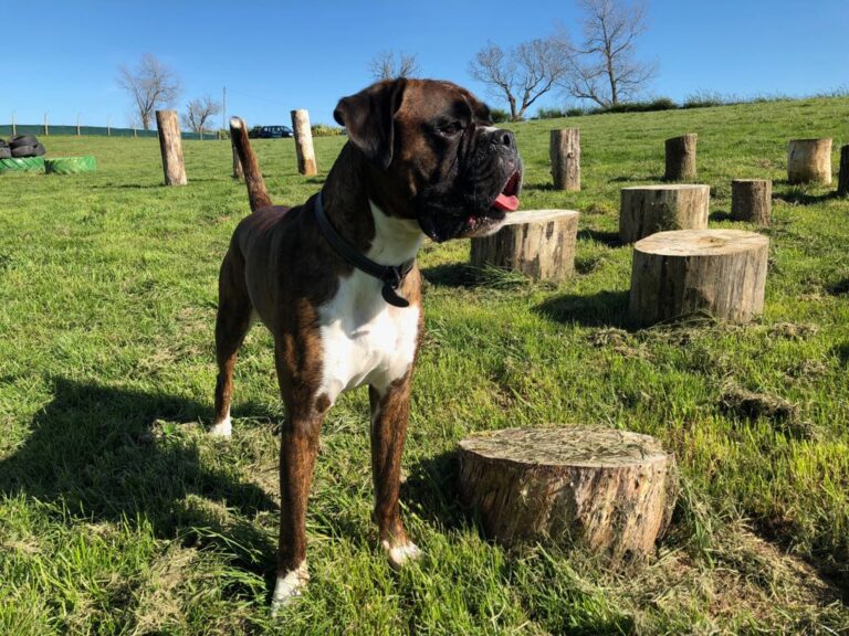 1306 fe69f6f94fcc7804e9b51fb1b534ff32 1 768x576