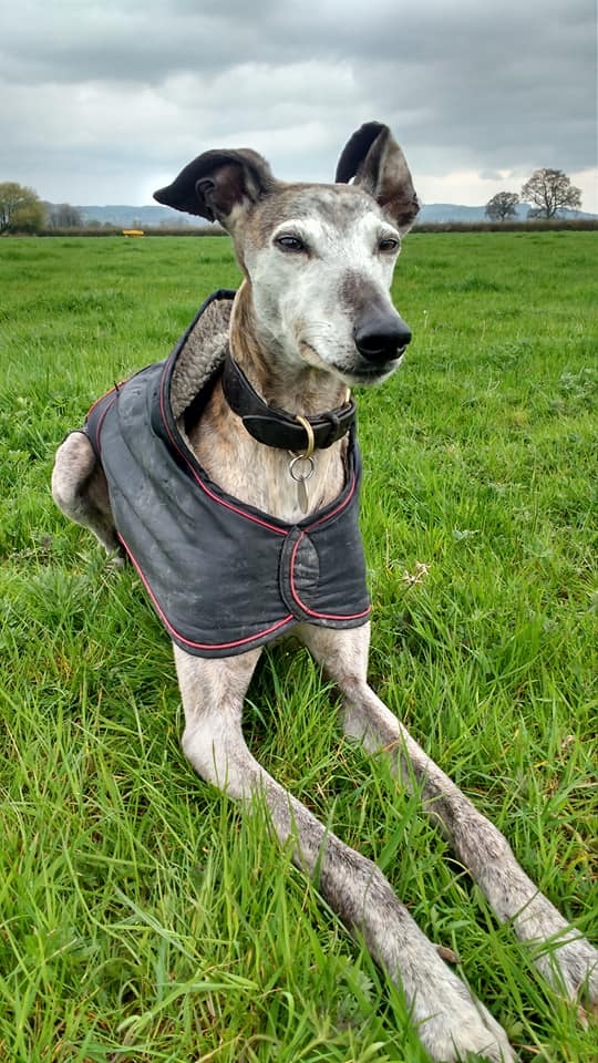 1307 0dc9f384850584a6036c1d2f244d5c82 1