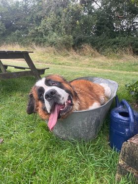 1307 343a702efc5f1cf81252bbe02f3113f3 1