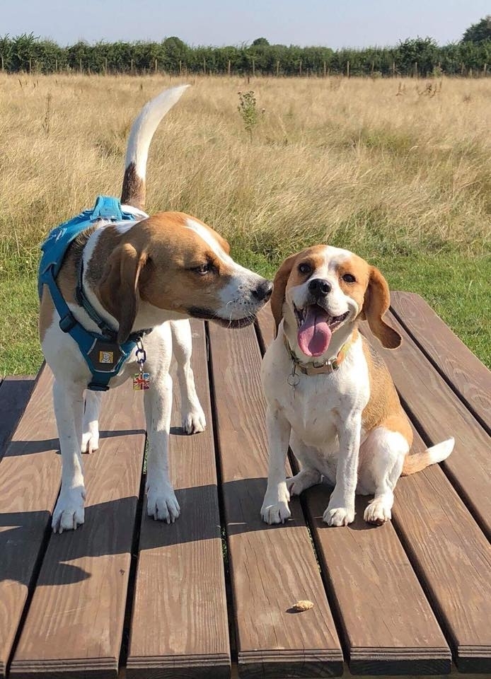 1307 3b098b2070e57a1e049025c8422674ef 1