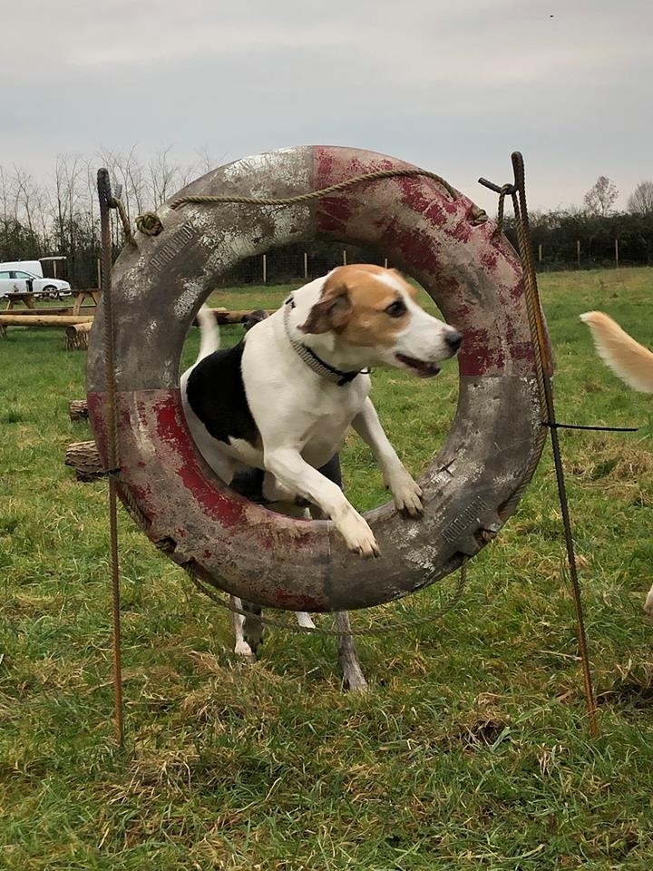 1307 65d41d89263abe3616b4d9d6dfcf8bf5 1