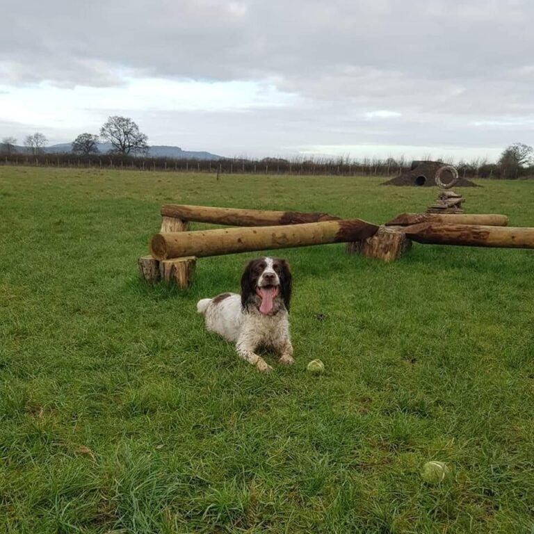 1307 b7ba1726f30cec563d73fac47ec05cc2 1 768x768