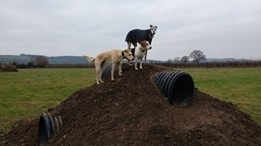 1307 ea622a13fe0b3dffc2926704b88d2ca1 1