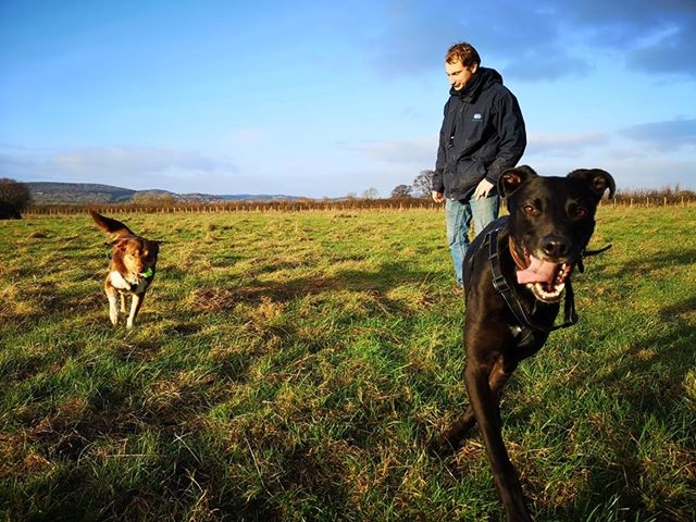 1307 ed3b9dfcfc1cf91b8883945a9e3984e9 1