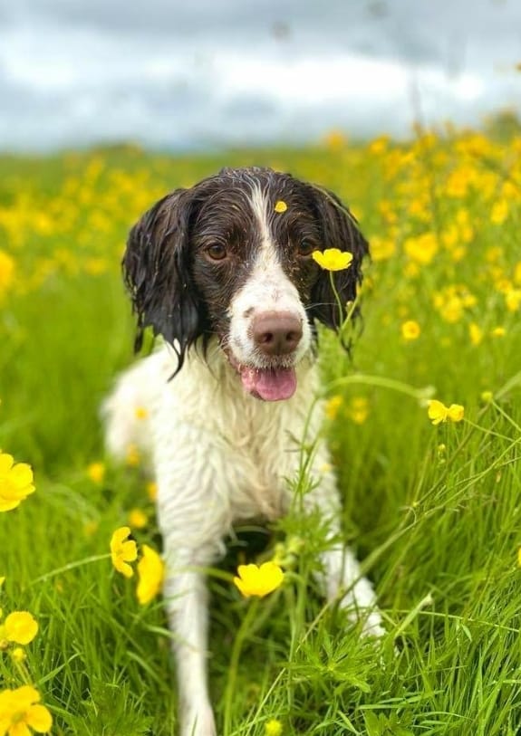 1307 efa804d424be00317267eee0a3cf7470 1