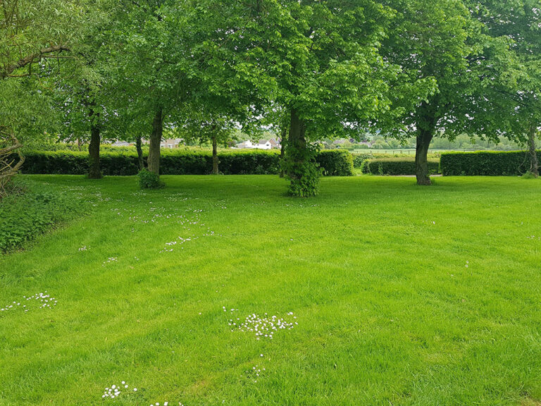 1308 3b071629829e1e1ced2ec4092ad24f5d 1 768x576