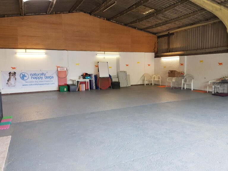 1308 66b2a5eb940593b01b49ccb04eefe654 1 768x576