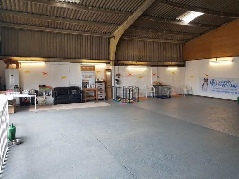 1308 838e6245d2fedf3e7afaa8996fad55fa 1 768x576