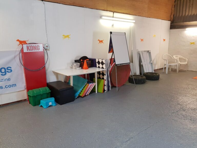 1308 a9346c8ab379dcc99159e9e79f024906 1 768x576