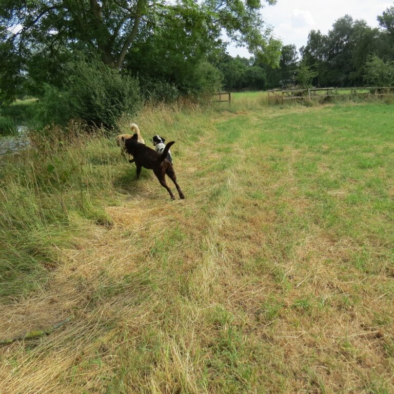 1312 1a66bb54382ed44c562d1bf4a9338c1f 1 768x768