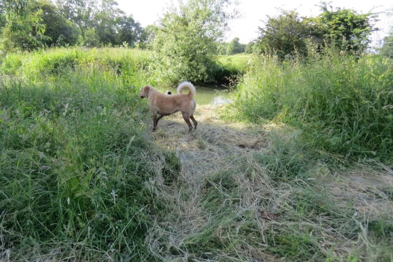 1312 653e22fddfd9b5caab64b09321ea2fcc 1 768x513