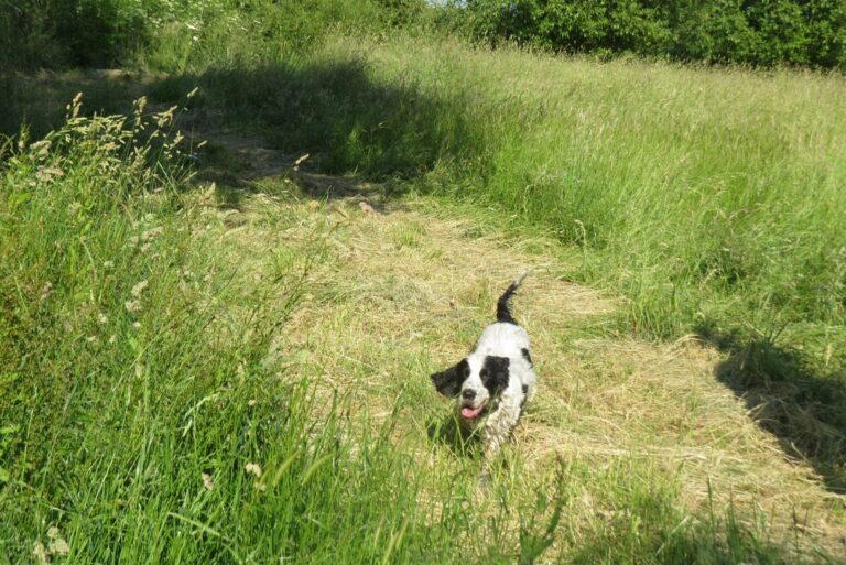 1312 6c1189f9d7df18d995ac0e4dca21603e 1 768x513