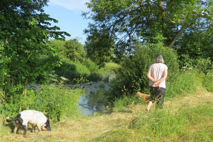 1312 7c33ec0a5bbb694a9a971ce3fb17e5c5 1