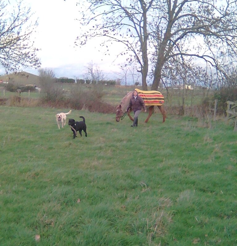 1312 91431b2b27c853c8d455029e14531adb 1 768x798