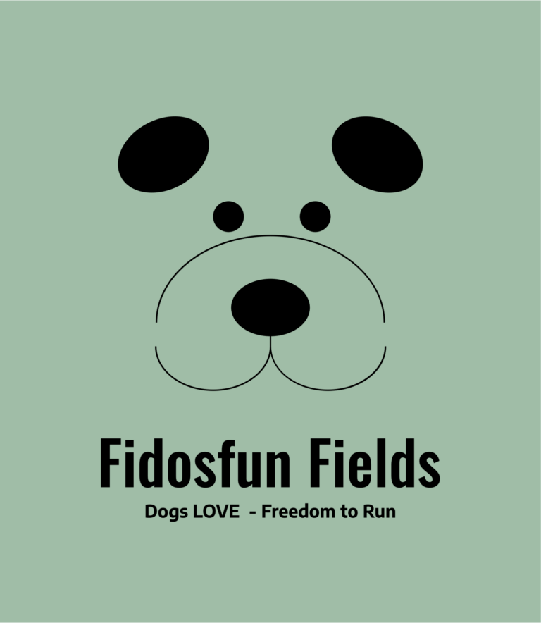 1313 511506593a8fef59c5b7038406a60675 1 768x884