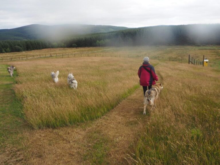 1314 25e916d0a96b37ea8b3afd717f7af31b 1 768x576