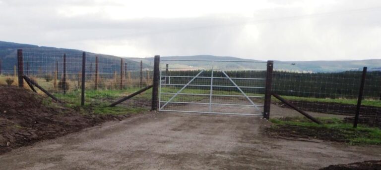 1314 29036510f350918c6ae497ef6e20a8e1 1 768x344